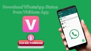Download WhatsApp Status from VidMate